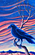 Raven at Sunset
