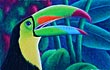 Toucan