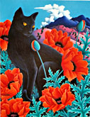 Black Jack in Poppies