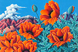 desert-poppies