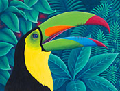 Tucan